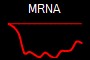 MRNA